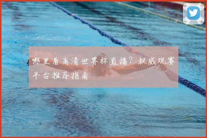 哪里看高清世界杯直播？权威观赛平台推荐指南