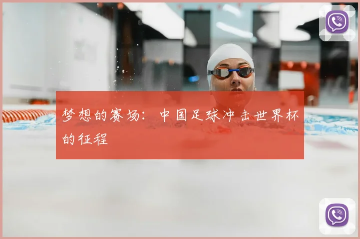 梦想的赛场：中国足球冲击世界杯的征程