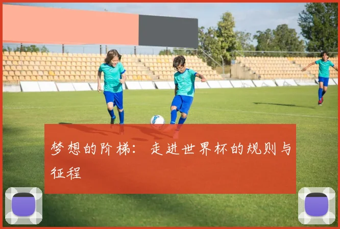 梦想的阶梯:走进世界杯的规则与征程